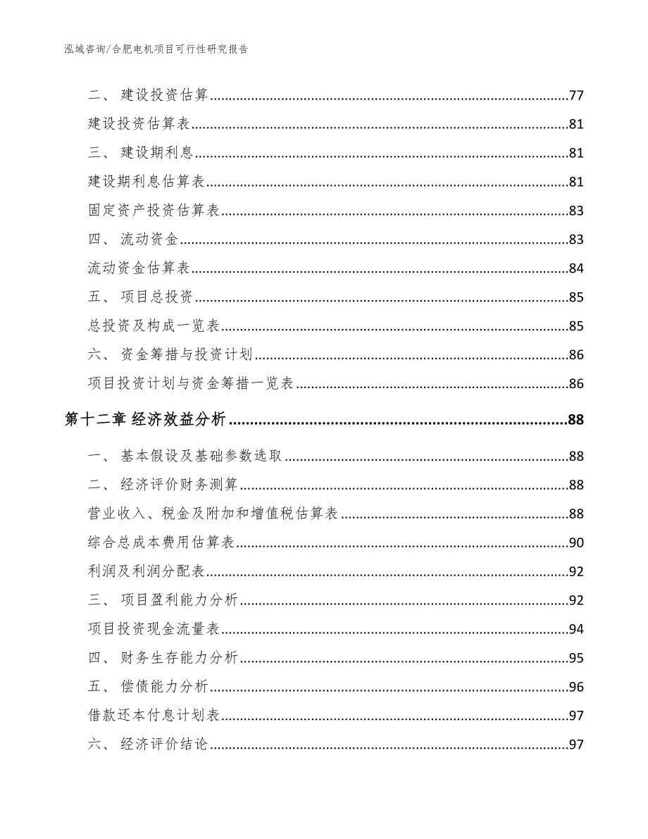 合肥电机项目可行性研究报告_模板_第5页