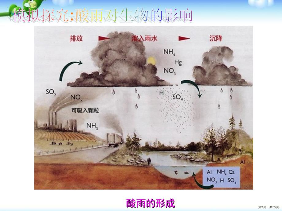 《探究环境污染对生物的影响》人类活动对生物圈的影响教学课件(共34p)_第3页