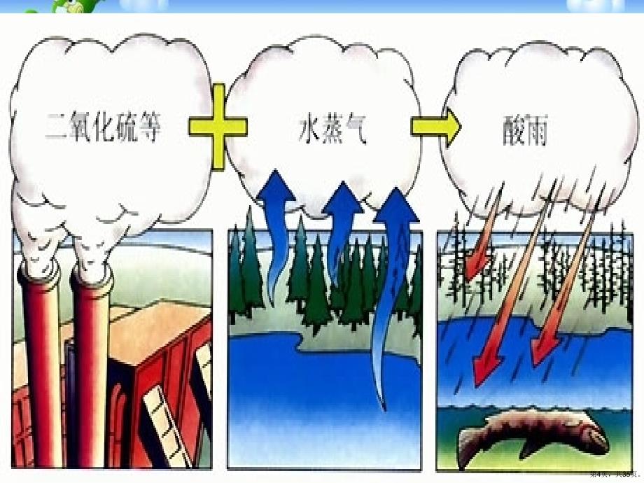 《探究环境污染对生物的影响》人类活动对生物圈的影响教学课件(共34p)_第4页