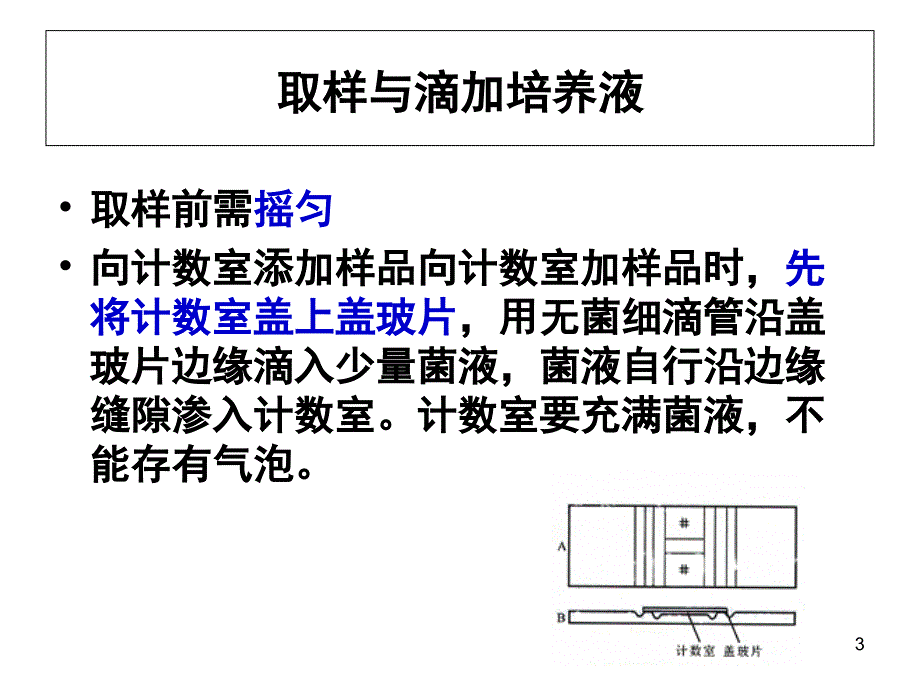 酵母菌种群数量的测定PPT课件_第3页