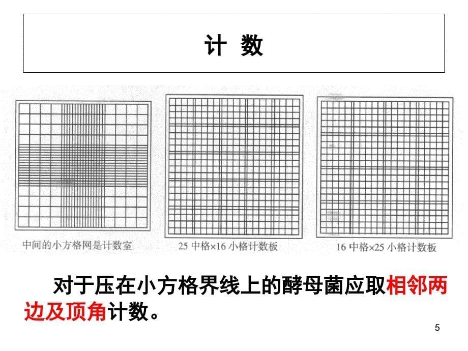 酵母菌种群数量的测定PPT课件_第5页