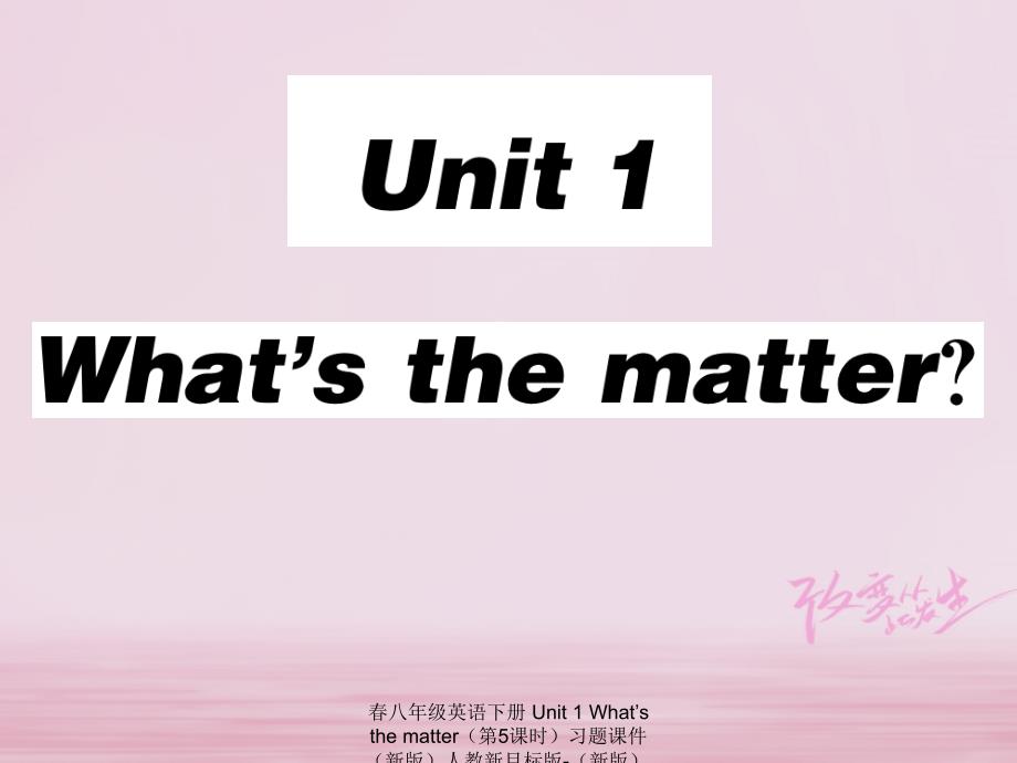 最新八年级英语下册Unit1Whatsthematter第5课时习题课件_第1页