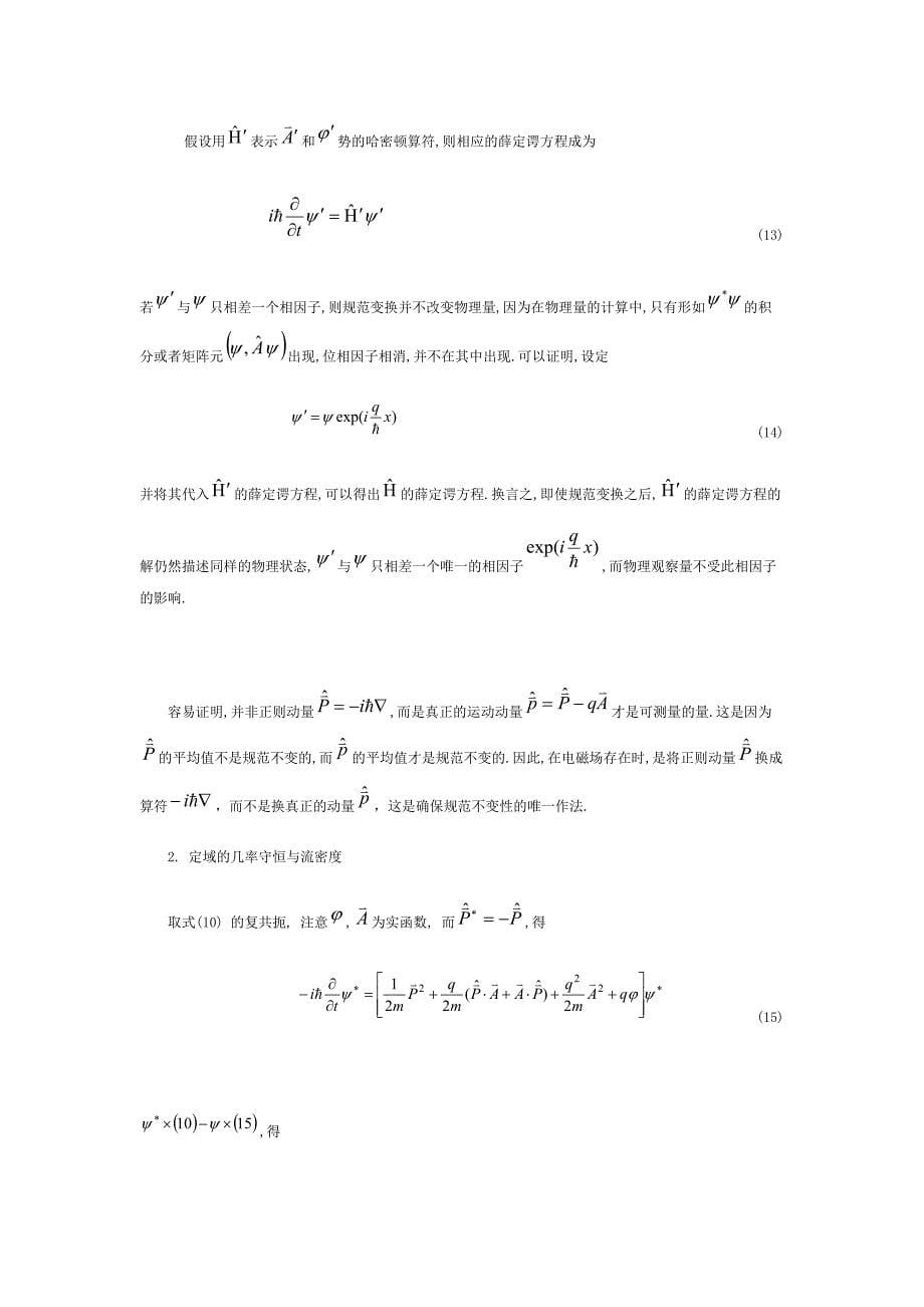 自主学习01教材内容笫十章 电磁场中的带电粒子.doc_第5页