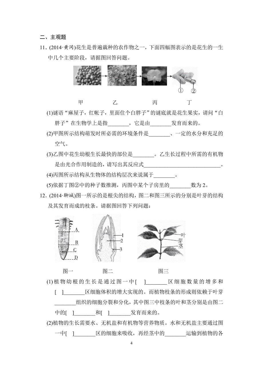 专题三生物圈中的绿色植物_第4页