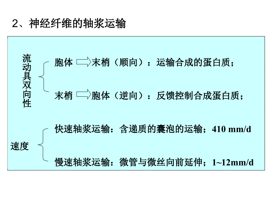 动物生理学第十三章神经系统的运动机能_第3页