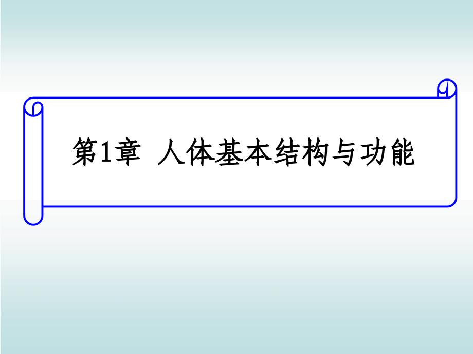 人体基本结构与功能上皮组织_第1页