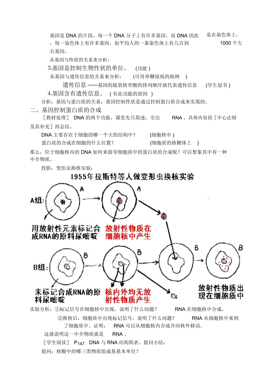 5113基因对性状的控制_第2页