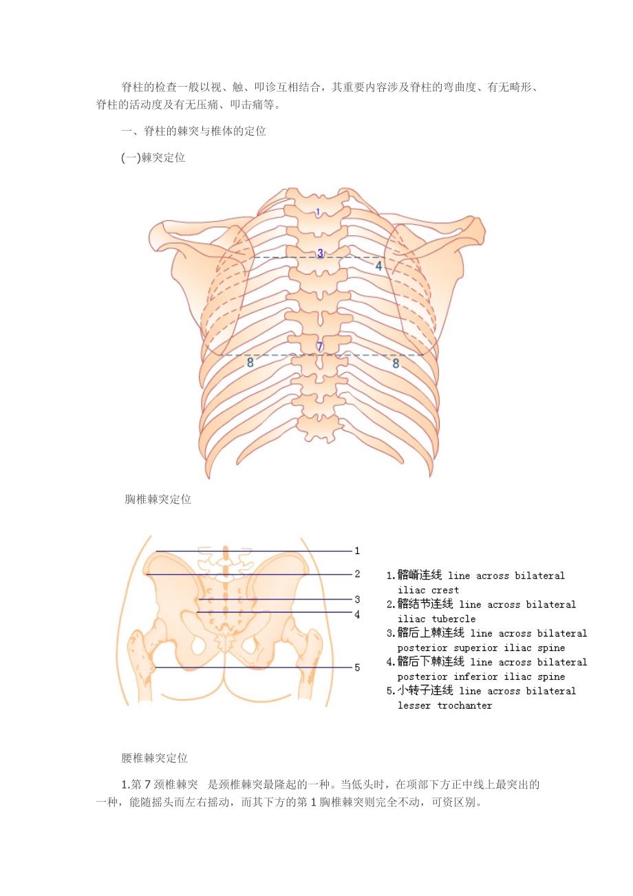 体格检查脊柱检查2_第1页