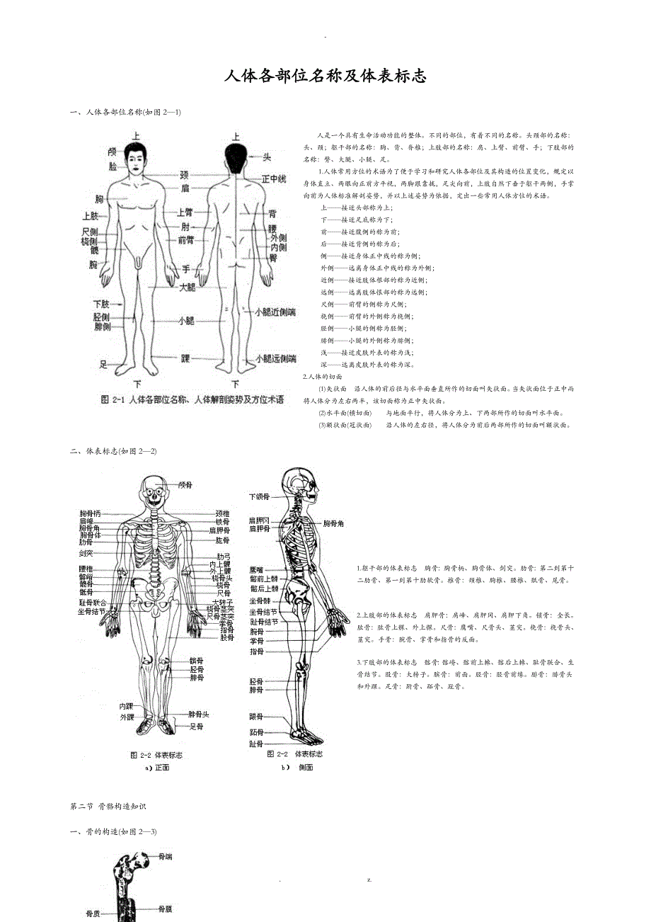 人体各部位名称及体表标志_第1页