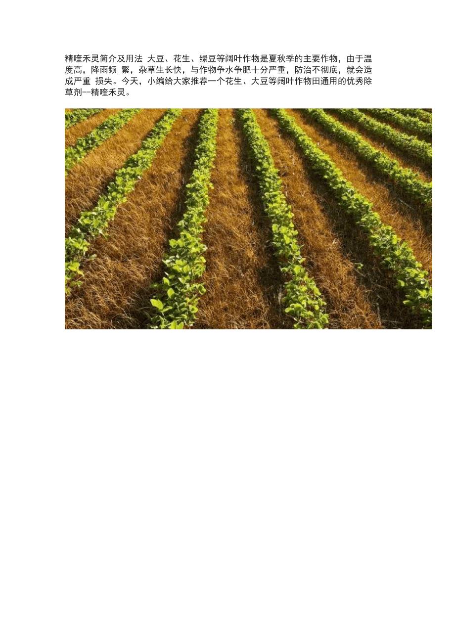 精喹禾灵简介及用法_第1页