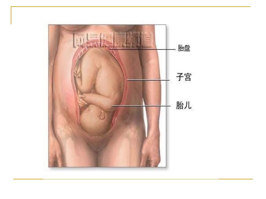 孕产期营养与安全分娩_第3页