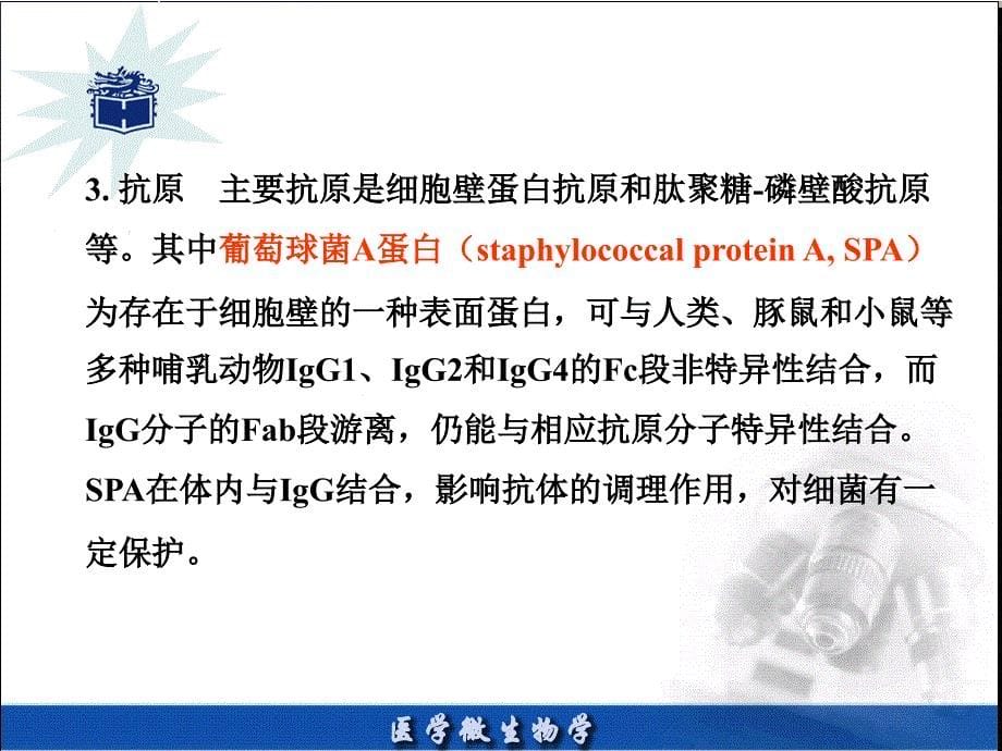 医学微生物章PPT课件_第5页