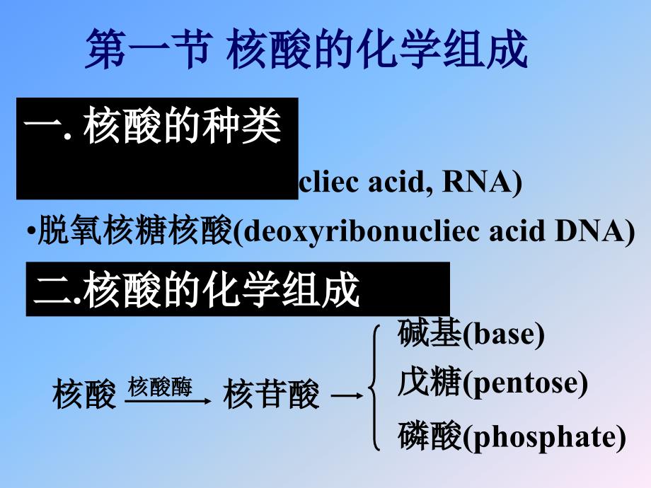 核酸化学与核苷酸代谢_第4页