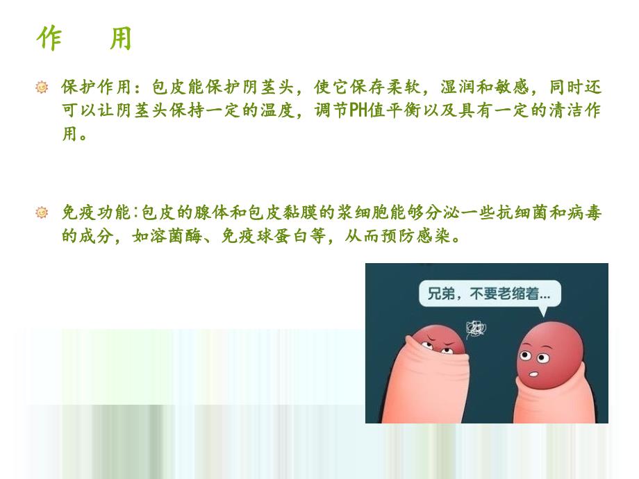 包茎、包皮过长的护理_第4页