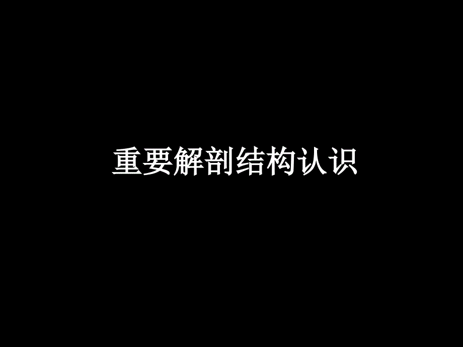 影像学,踝关节和足mrippt课件_第3页