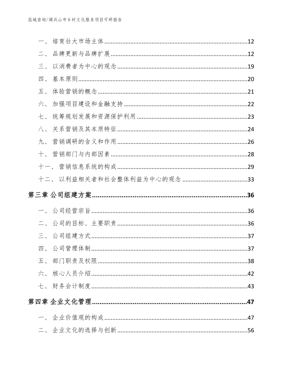 调兵山市乡村文化服务项目可研报告（模板范文）_第4页