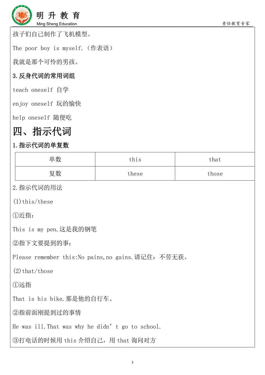 最全代词知识点梳理.doc_第3页