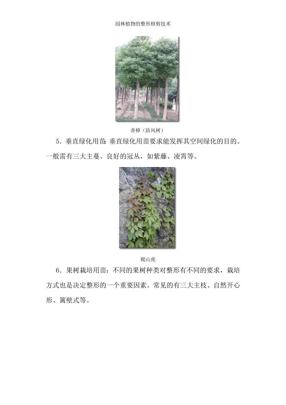 园林植物的整形修剪技术_第5页