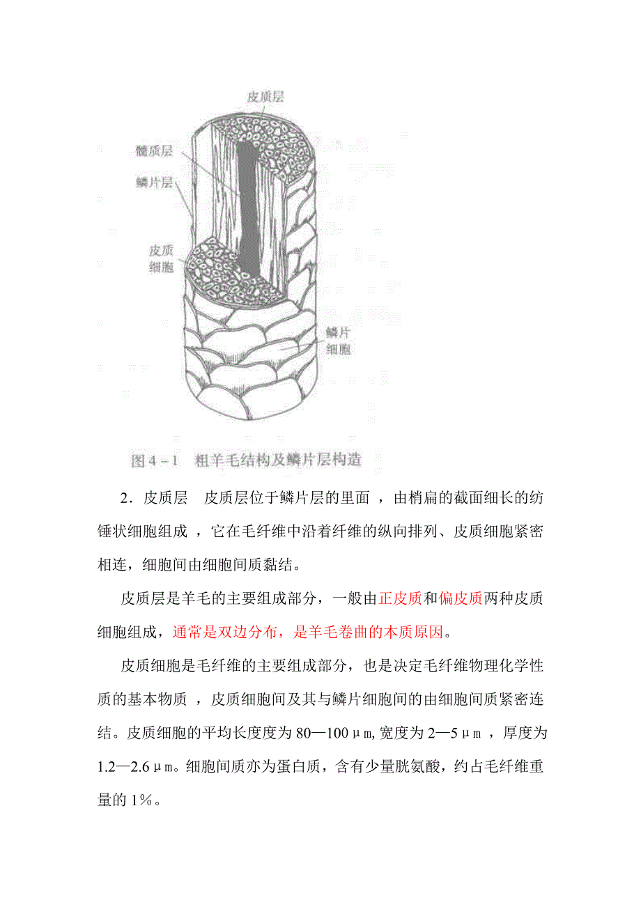 第四章动物纤维111.doc_第4页