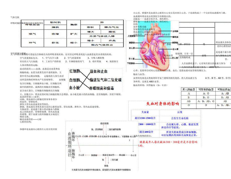 人教版七年级生物下册笔记.docx_第2页