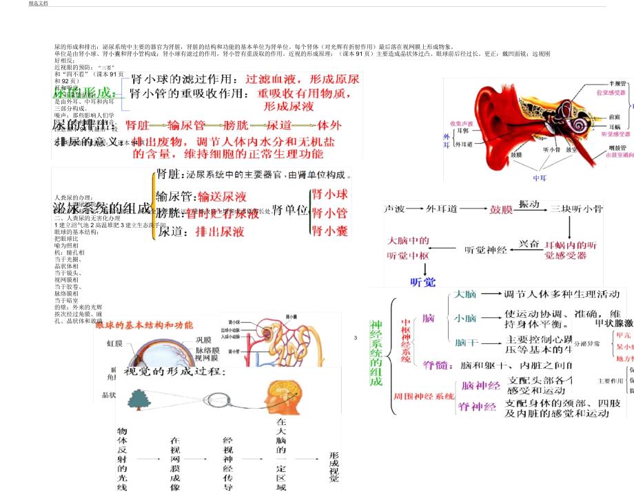 人教版七年级生物下册笔记.docx_第3页