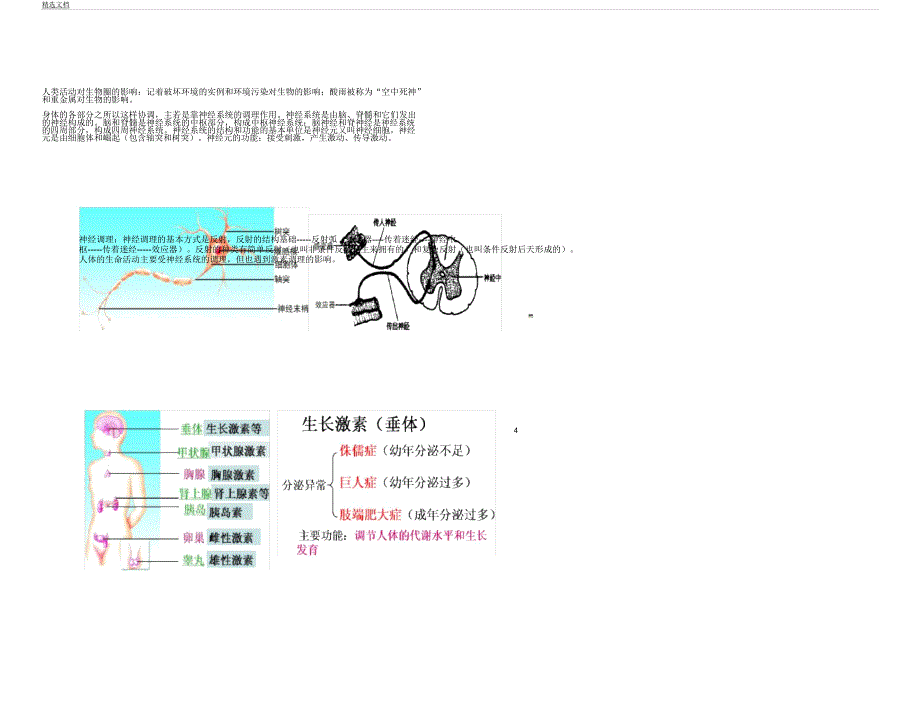 人教版七年级生物下册笔记.docx_第4页