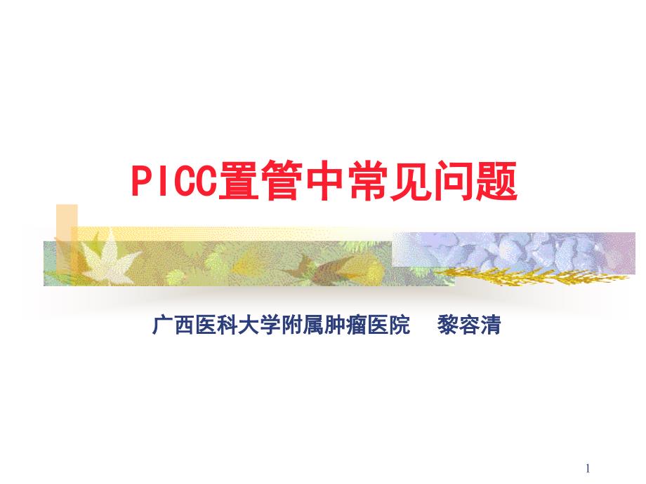 PICC置管常见问题文档资料_第1页