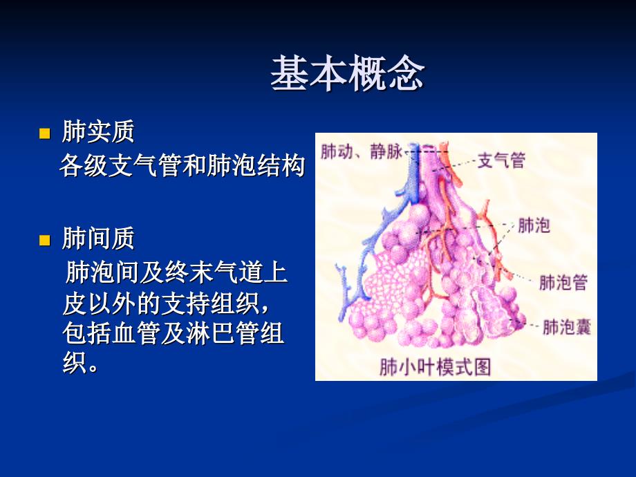 《特发性肺纤维化》PPT课件_第2页