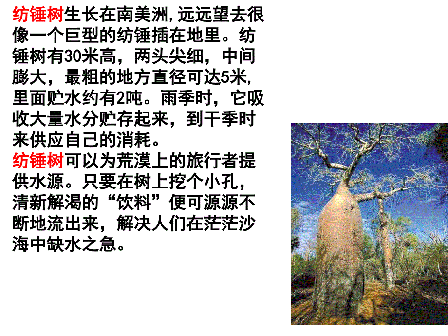 备选课件：现代生物进化理论的由来_第3页