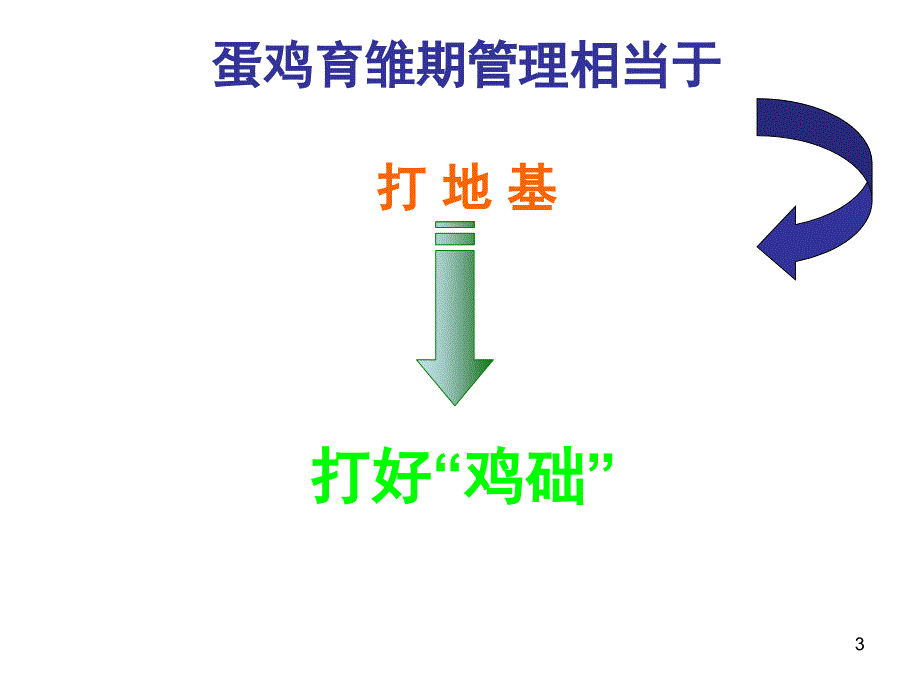 蛋鸡的饲养管理技术.课堂PPT_第3页