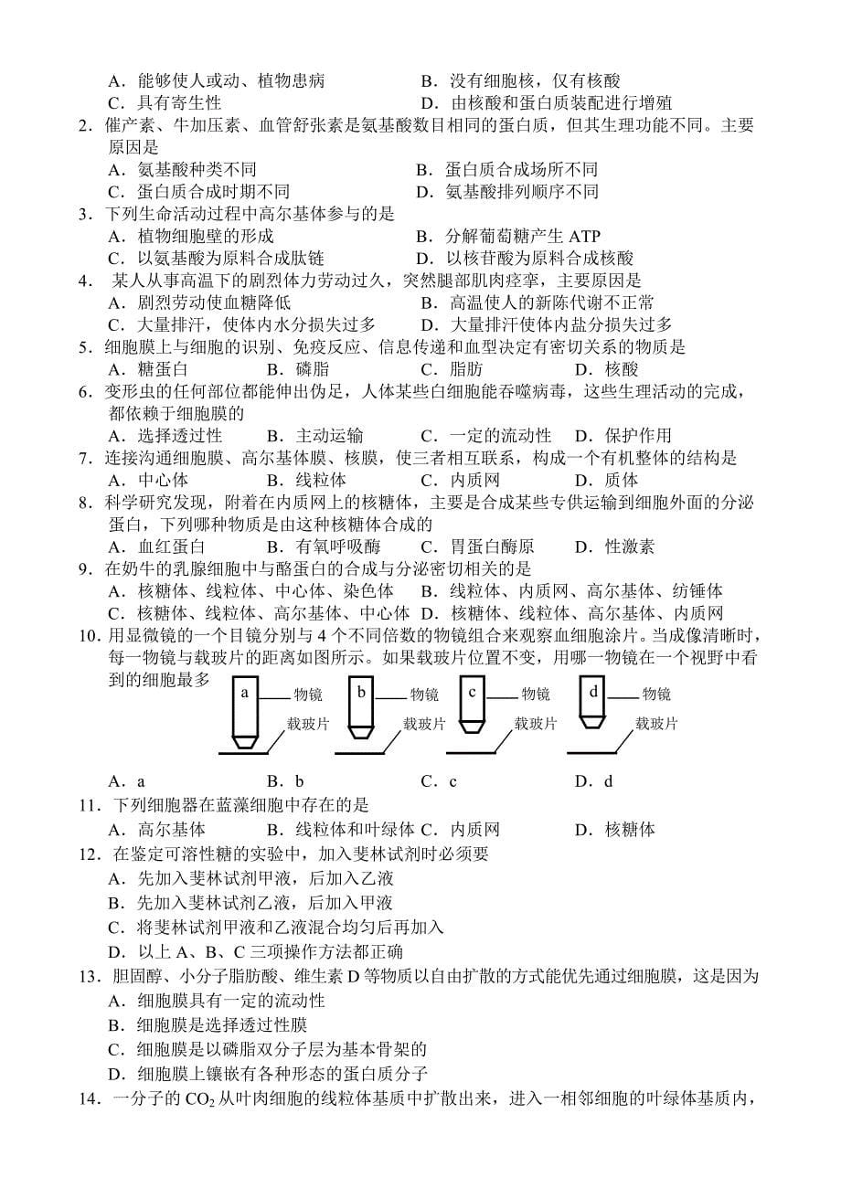 1组成细胞的分子和细胞的基本结构.doc_第5页