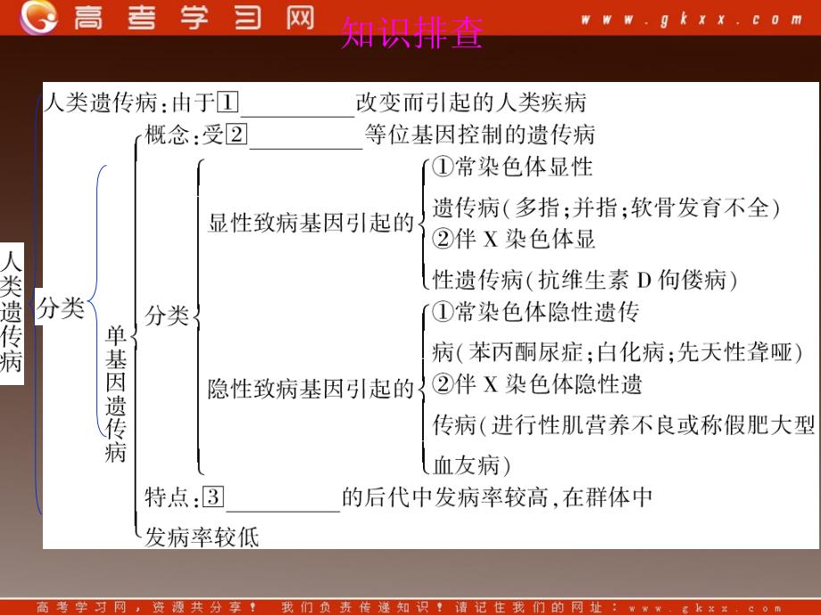 高考生物一轮复习变式训练：《人类遗传病》课件（人教版必修二）_第4页