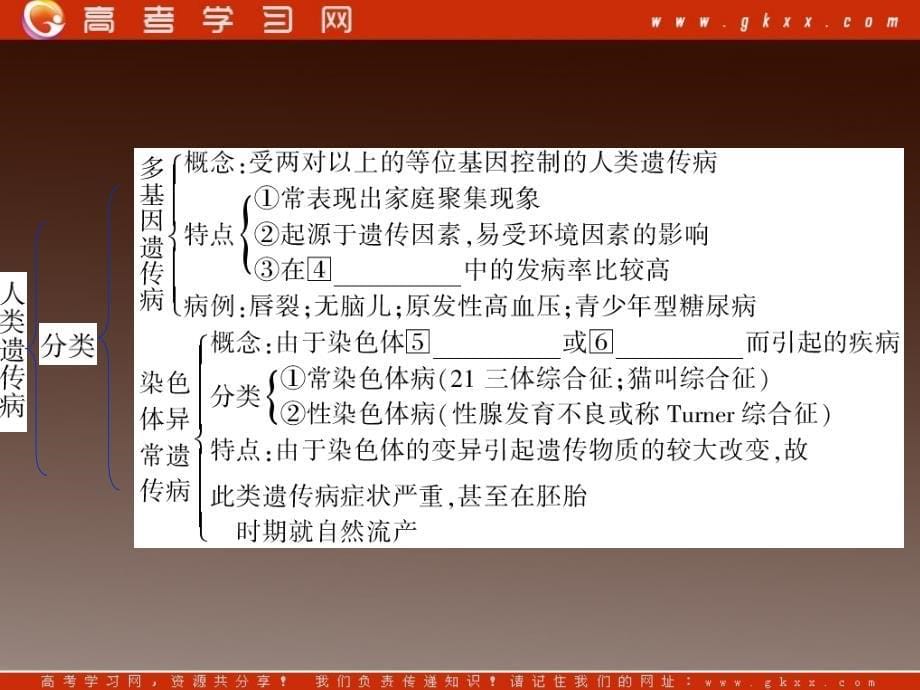 高考生物一轮复习变式训练：《人类遗传病》课件（人教版必修二）_第5页