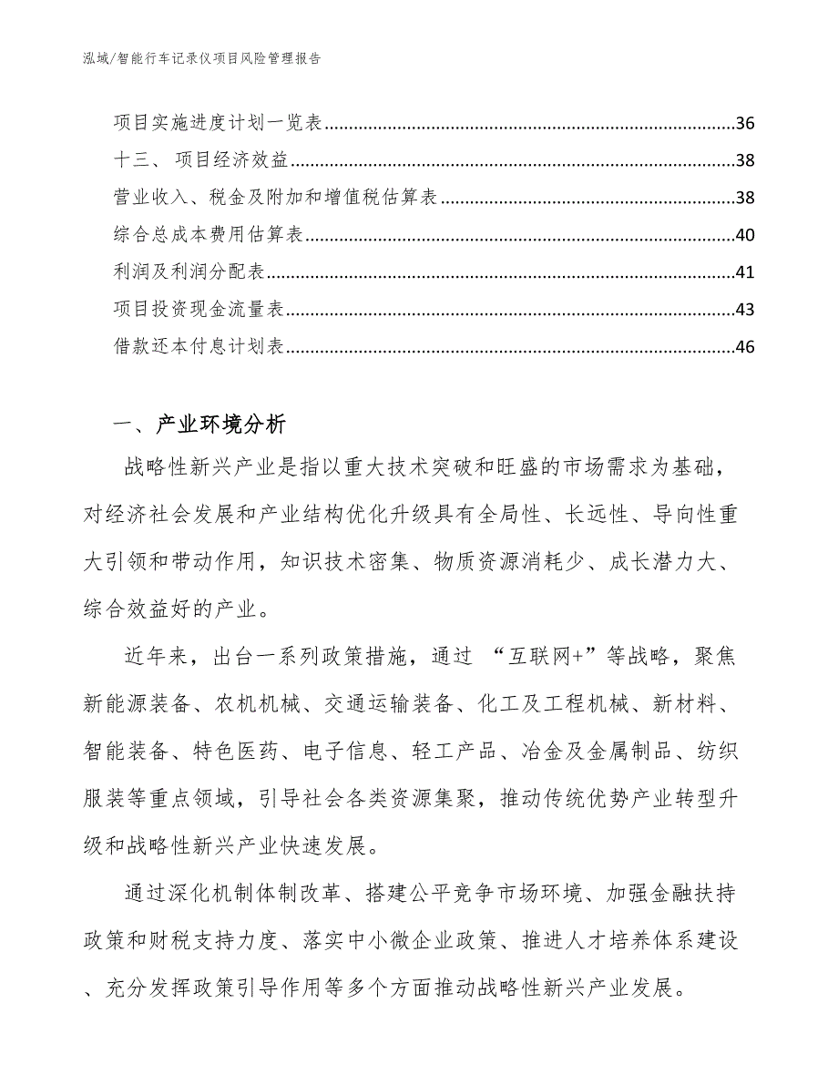 智能行车记录仪项目风险管理报告（参考）_第2页