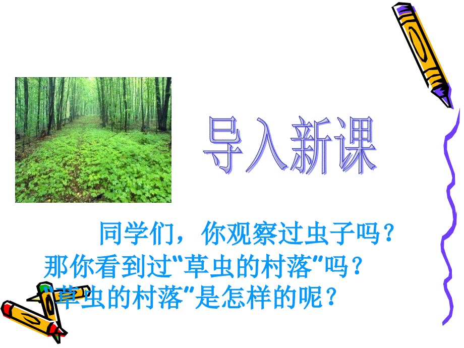 《草虫的村落》课件_第2页