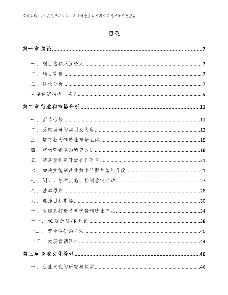 永仁县关于成立化工产业绿色安全发展公司可行性研究报告_第2页