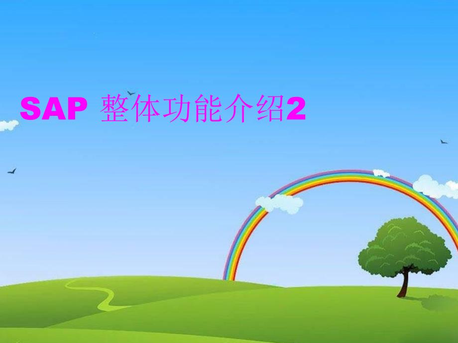 SAP 整体功能介绍2教学内容_第1页