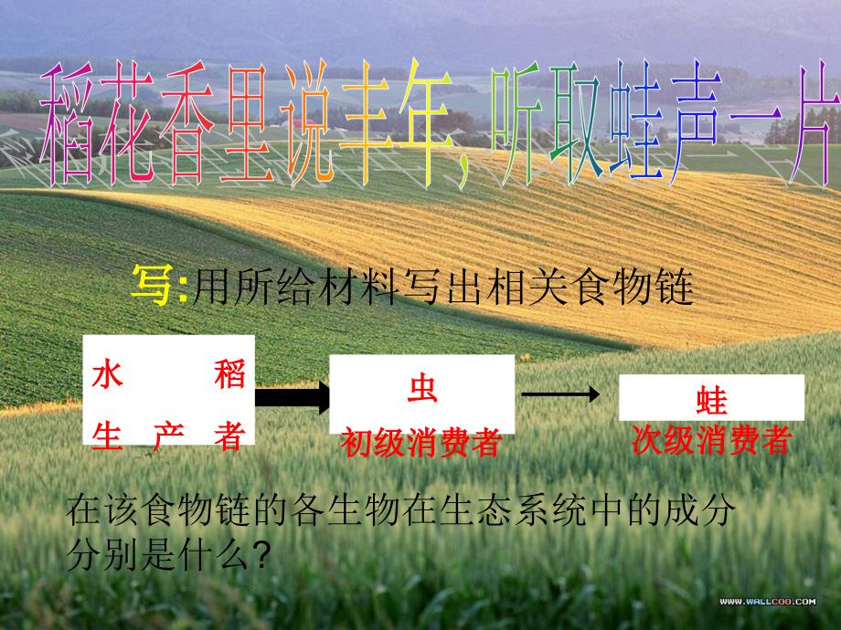 温十五中潘丽雅_第2页