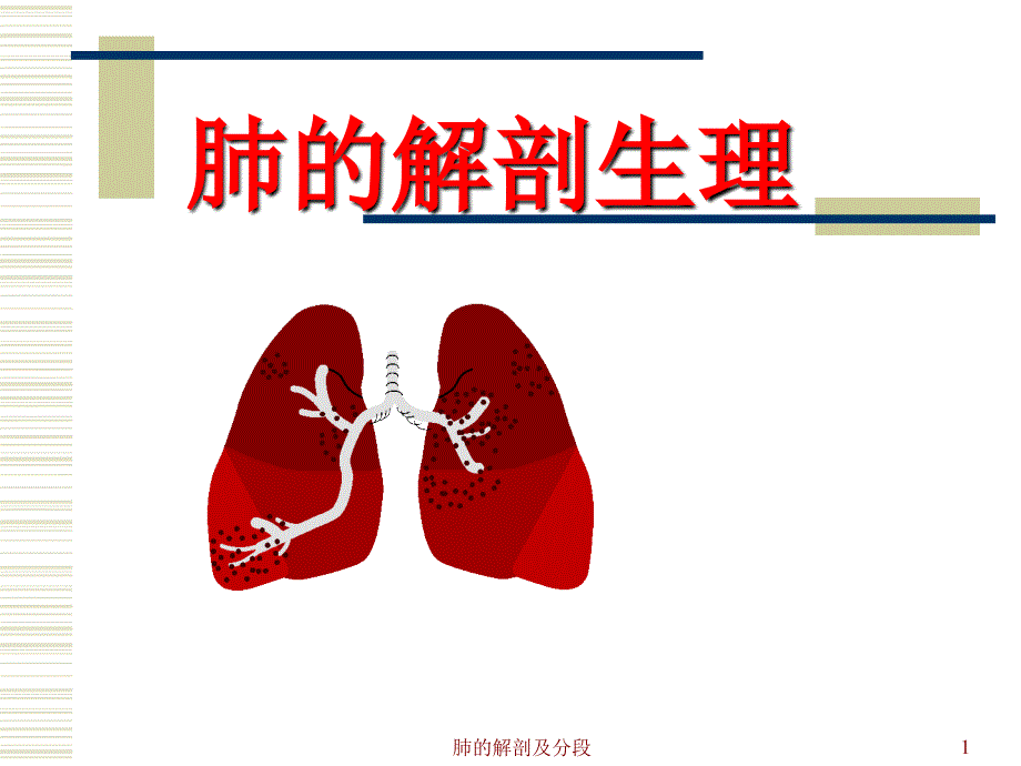 肺的解剖和生理ppt课件_第1页