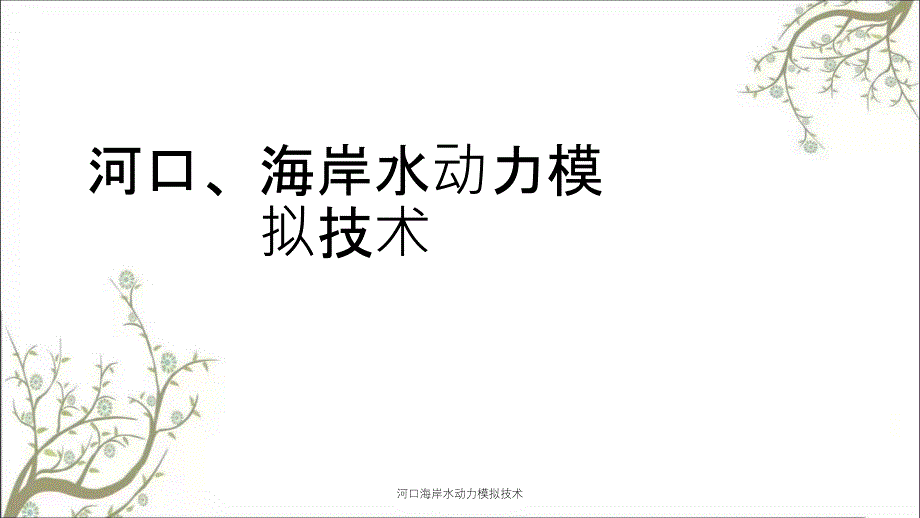 河口海岸水动力模拟技术课件_第1页