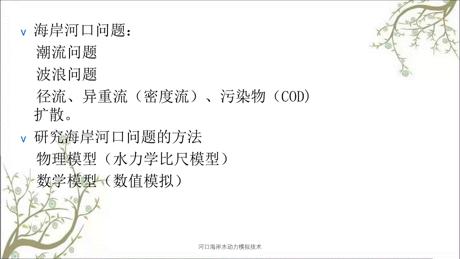 河口海岸水动力模拟技术课件_第3页