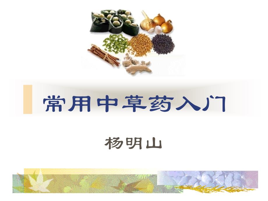 中药中级教学资料常用中草药入门_第1页