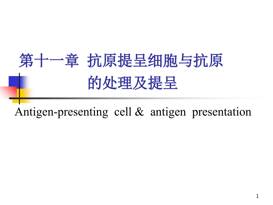 抗原提呈细胞与抗原的处理及提呈PPT_第1页