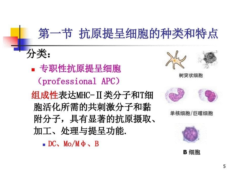 抗原提呈细胞与抗原的处理及提呈PPT_第5页