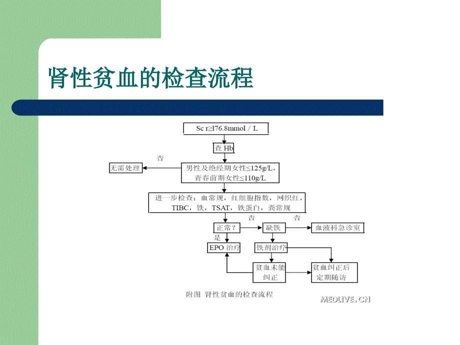 《重组人促红细胞生》PPT课件_第5页