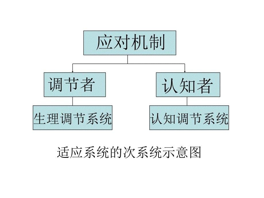 罗伊的适应模式_第5页