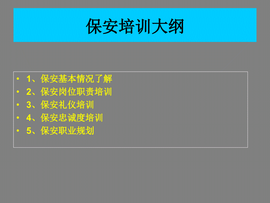 保安培训大纲_第1页