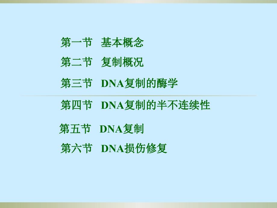 DNA复制的起始和终止_第2页