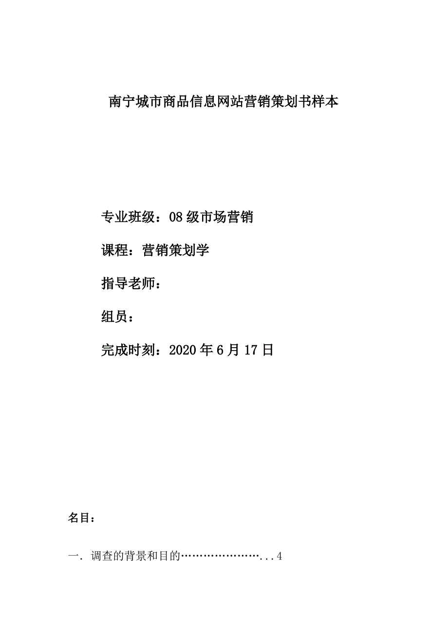 南宁城市商品信息网站营销策划书样本_第1页