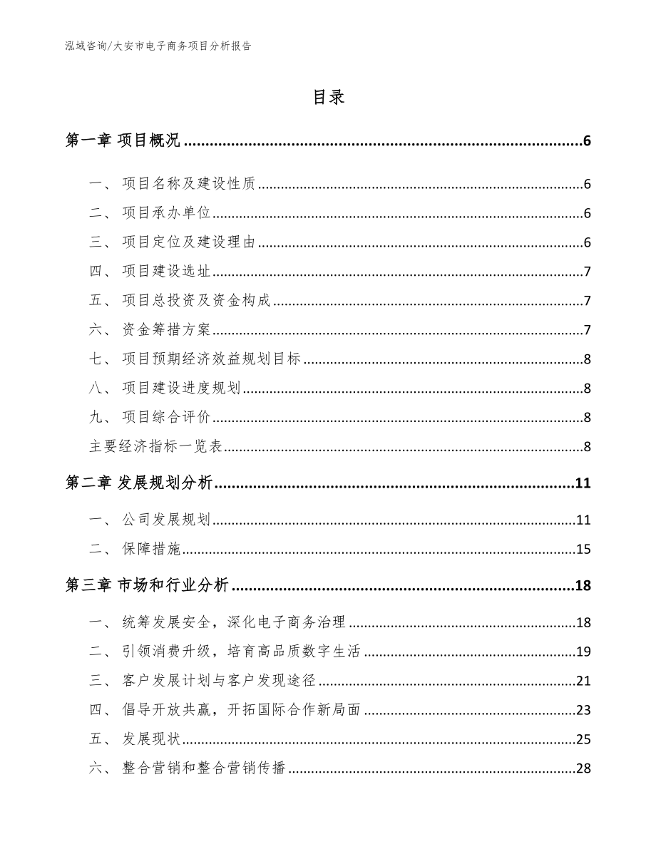 大安市电子商务项目分析报告_第1页